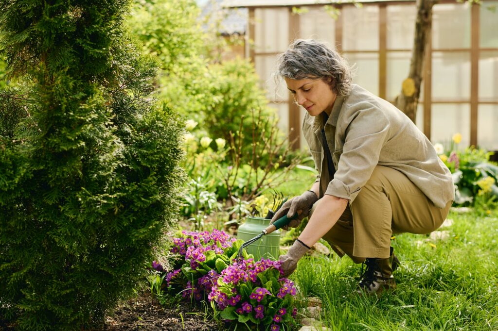 Gardener by flowerbed with primrose