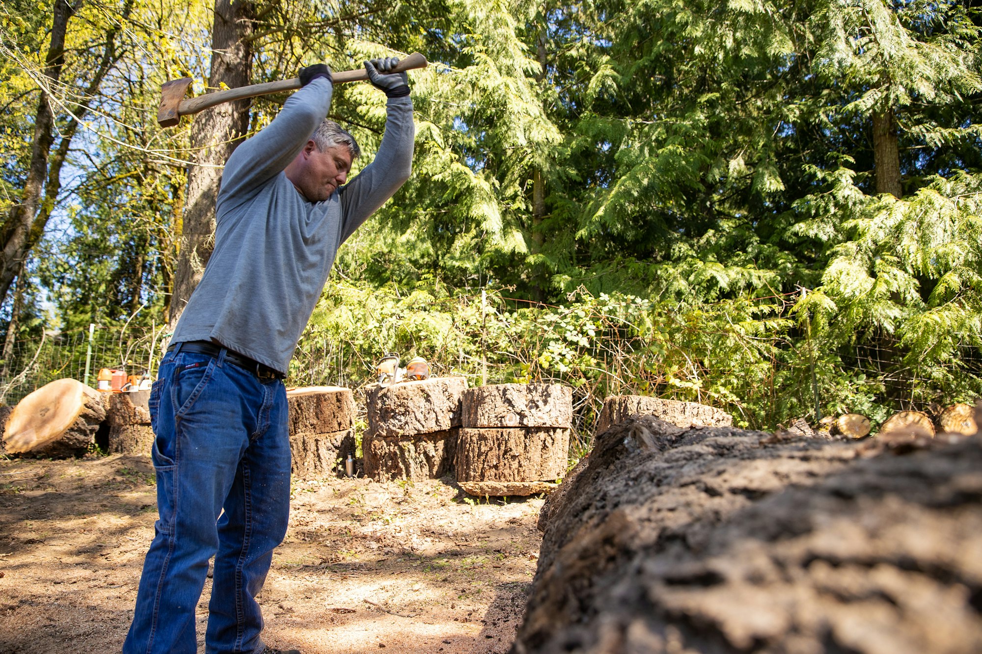 Lumberjack man chopping firewood from tree logs using an axe