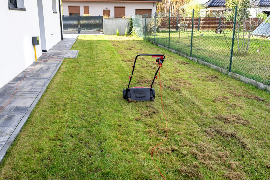 Scarifying the lawn before the winter season using an electric scarifier.